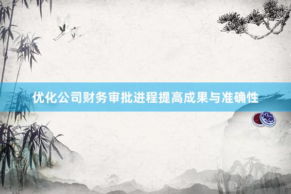 优化公司财务审批进程提高成果与准确性
