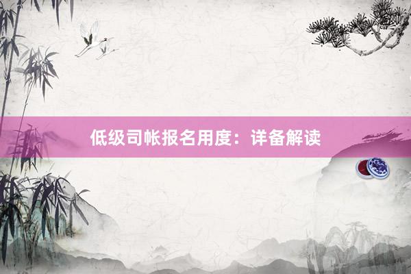 低级司帐报名用度：详备解读