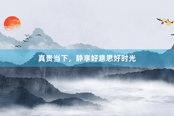 真贵当下，静享好意思好时光