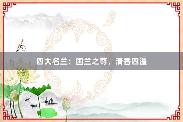 四大名兰：国兰之尊，清香四溢