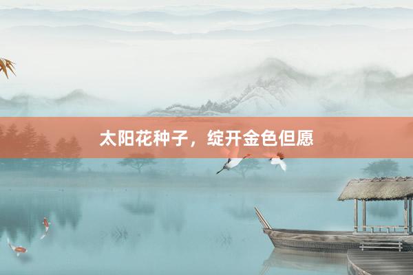 太阳花种子，绽开金色但愿