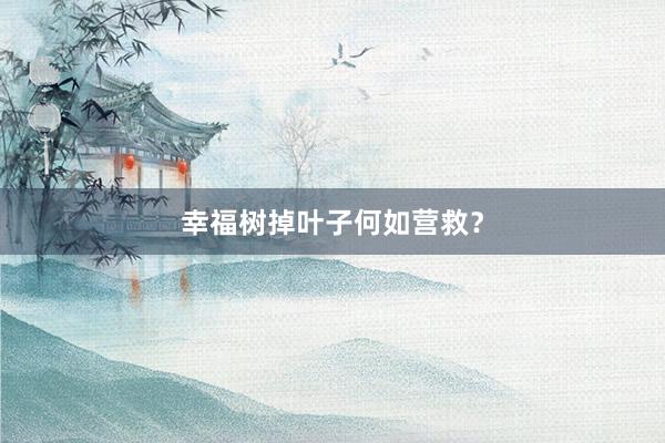 幸福树掉叶子何如营救？